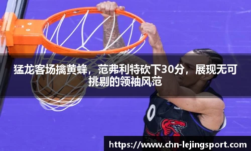 猛龙客场擒黄蜂，范弗利特砍下30分，展现无可挑剔的领袖风范